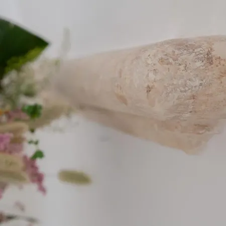 Greenhouse 普蒂尼亚诺